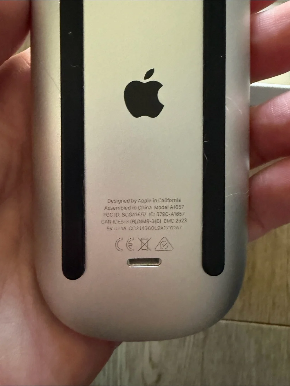 Apple Silver Wireless Mouse with Black Accents